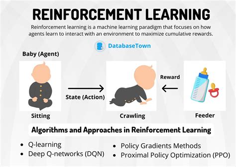 What is Reinforcement in Education: A Journey Through the Labyrinth of Learning